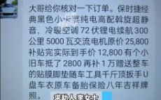 2万多网购“小卡宴” 车标要自己贴