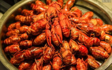 小龙虾上市了 价格比去年还便宜