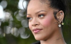 蕾哈娜豪宅遭遇枪击：惊心动魄的紧急时刻