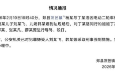 平顶山再通报打人事件：真相与后续处理全解析