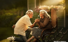 世纪之恋：揭秘129岁老人与百岁伴侣的真实故事