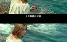 单身自由：我选择不谈恋爱的理由