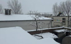 霍尔木兹海峡十多艘油轮被炮弹击中