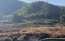 五台山景区明火扑灭，安全重归宁静