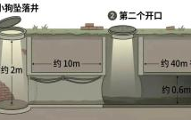 奇迹重生：小狗在井底度过三个冬天竟奇迹般增肥