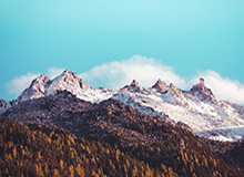 陈星旭温暖回应粉丝，传递正能量