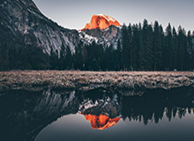 丁禹兮:爱情与财富的完美融合——钱在哪,爱就在哪